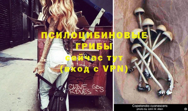 кокаин Зеленодольск