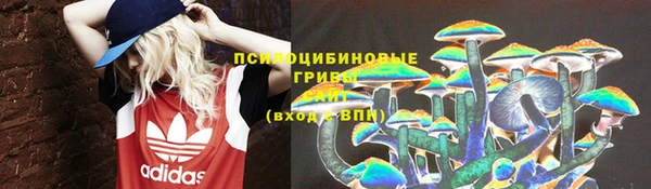 ECSTASY Зеленокумск